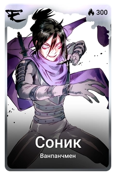 Коллекционная карточка