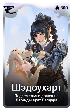 Коллекционная карточка