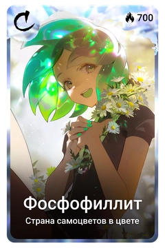 Коллекционная карточка