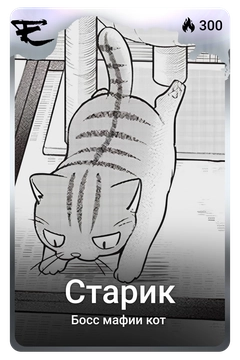 Коллекционная карточка