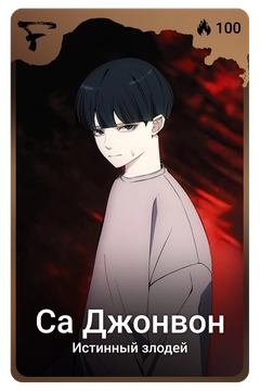 Коллекционная карточка