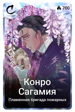 Коллекционная карточка