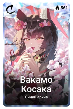 Коллекционная карточка