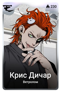 Коллекционная карточка