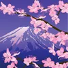 Senbon Sakura