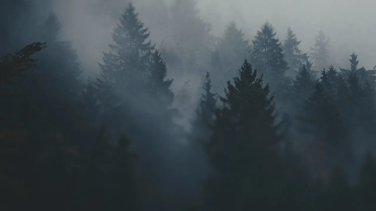 Обои