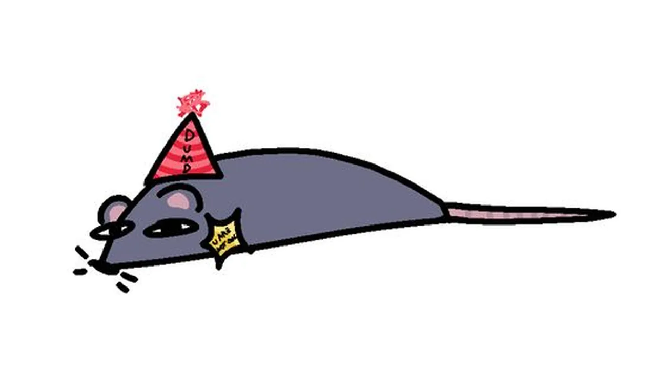 Обои