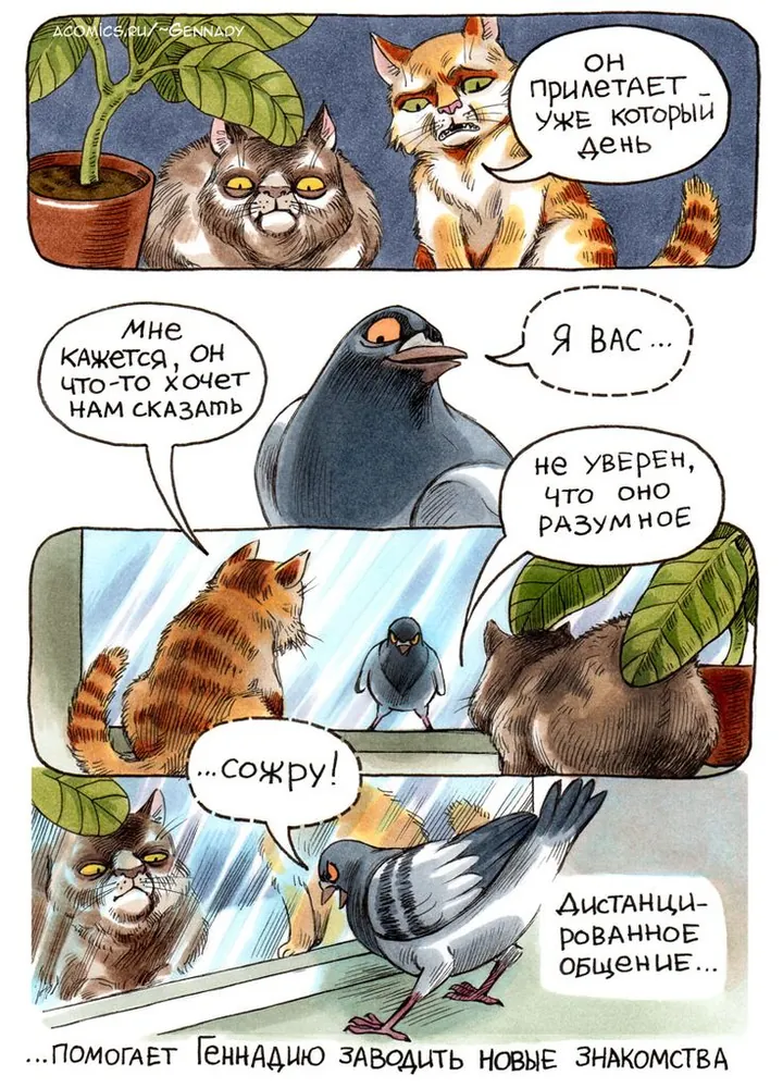 изображение поста
