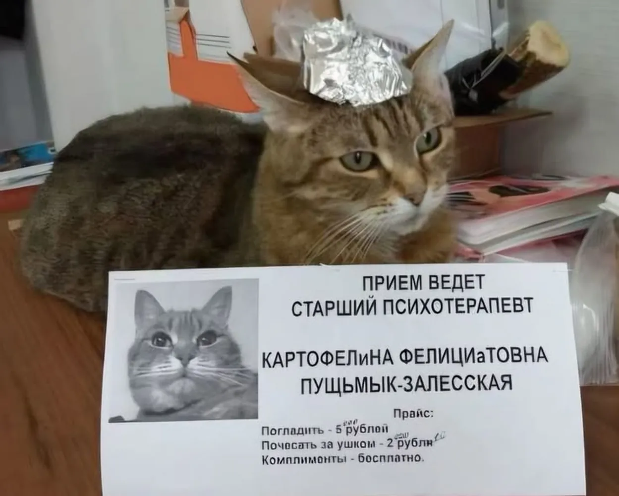 изображение поста