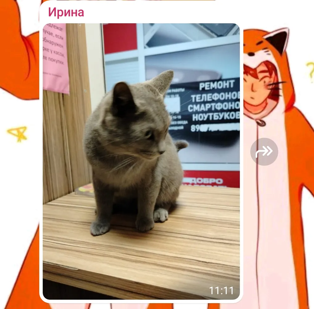 изображение поста