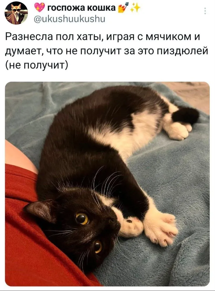 изображение поста