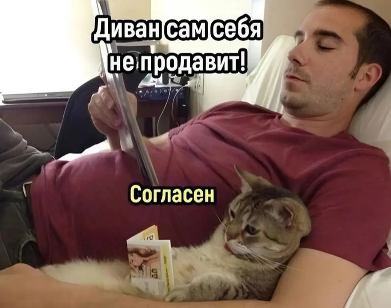 изображение поста