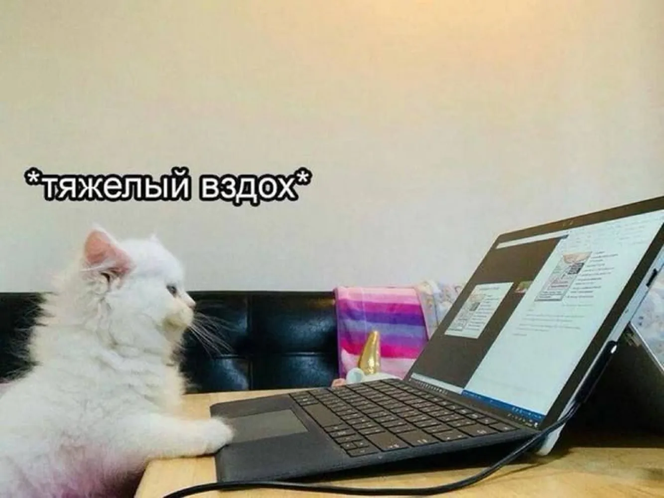 изображение поста