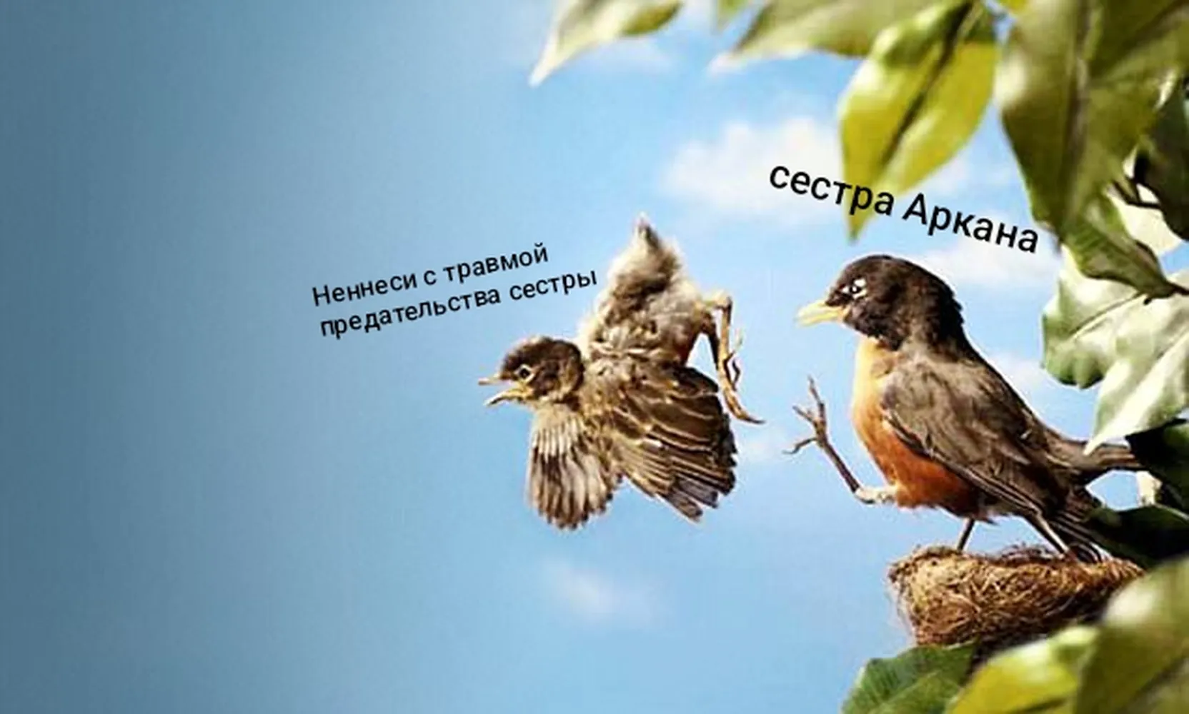 изображение поста