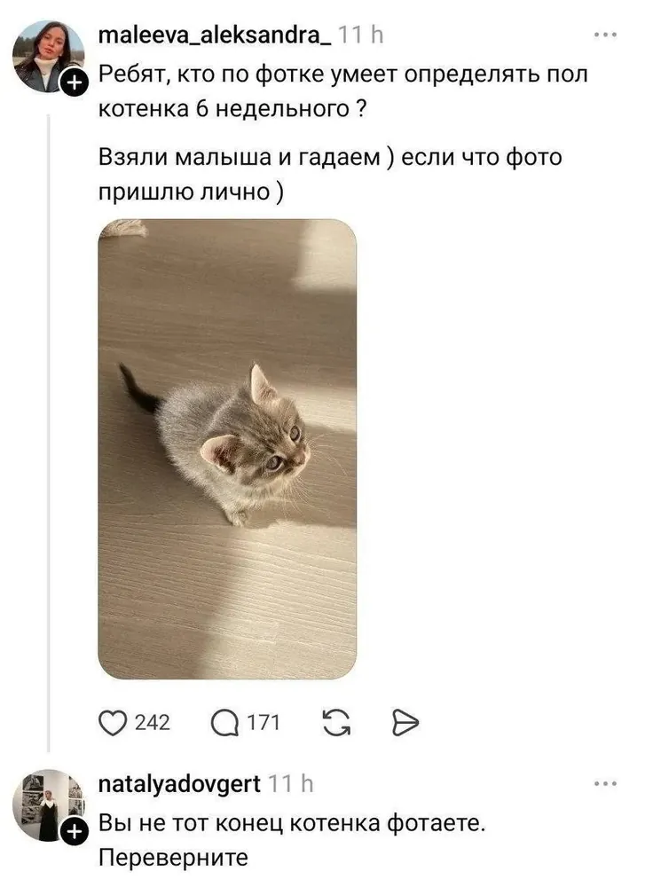 изображение поста