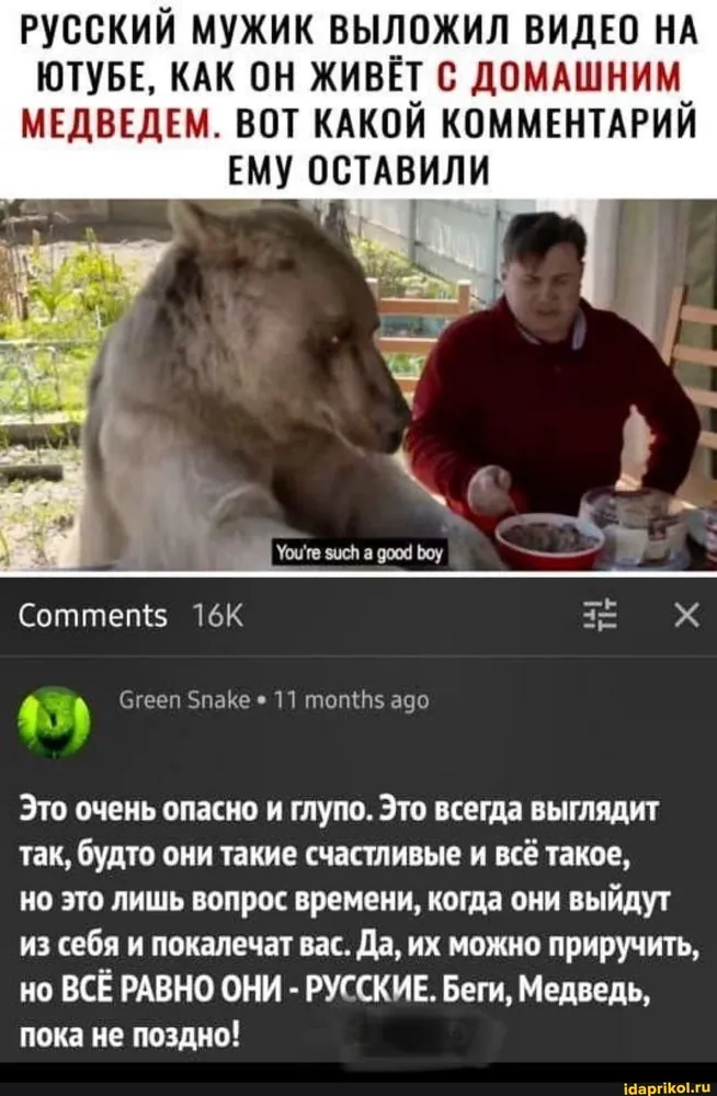 изображение поста