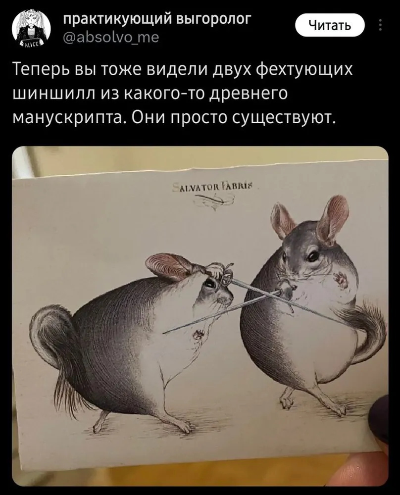 изображение поста