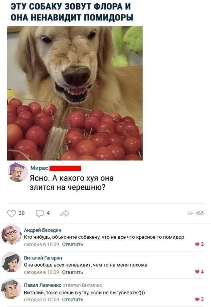 изображение поста