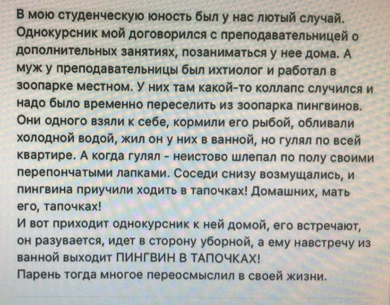 изображение поста