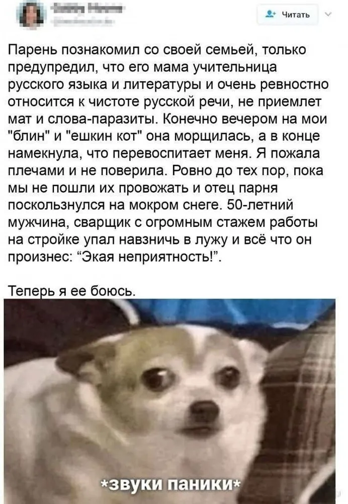 изображение поста