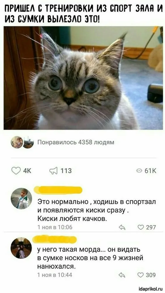 изображение поста