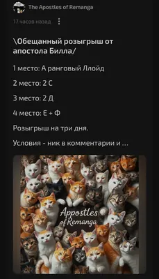 изображение поста