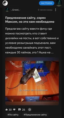 изображение поста