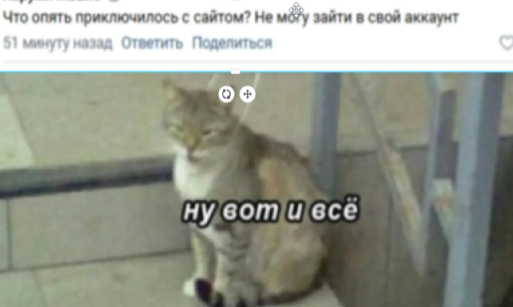 изображение поста