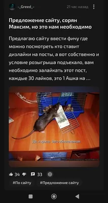 изображение поста