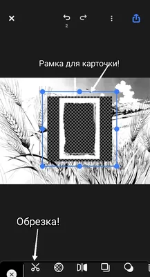 изображение поста