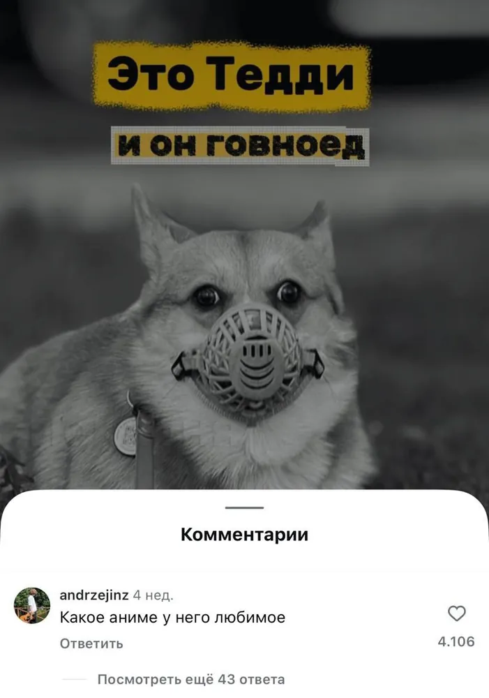 изображение поста