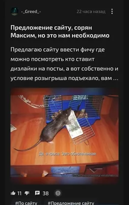изображение поста
