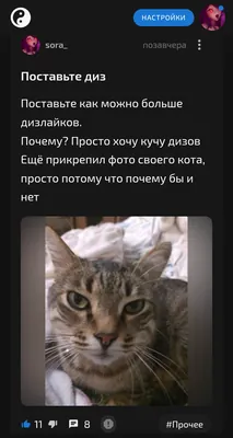 изображение поста