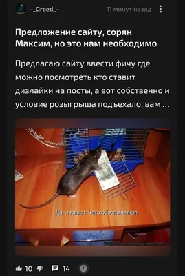 изображение поста