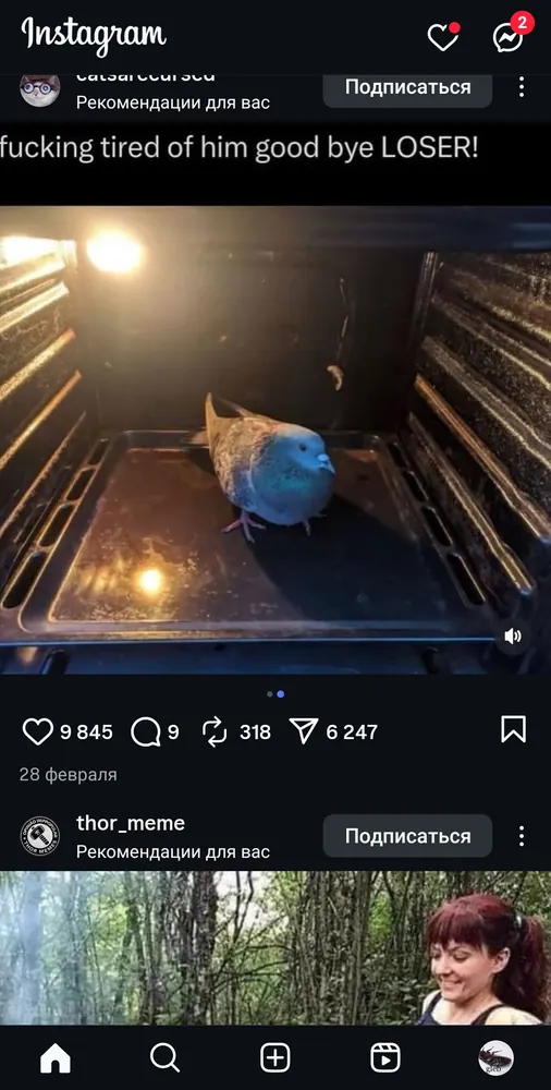 изображение поста
