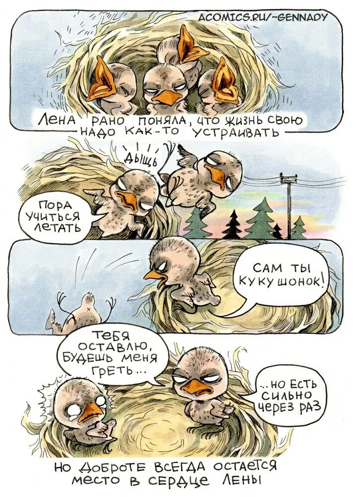 изображение поста