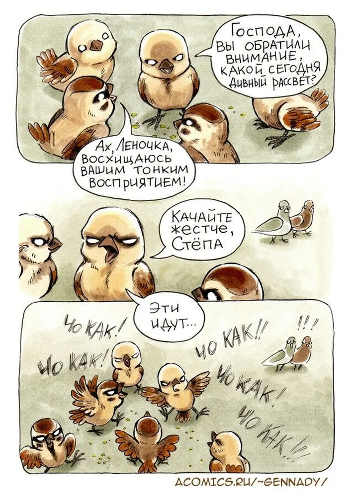 изображение поста
