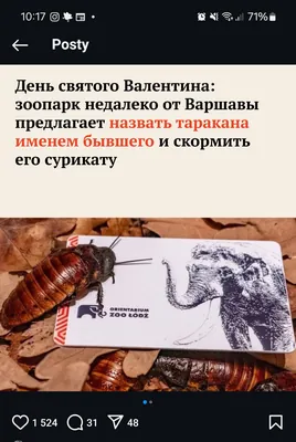 изображение поста