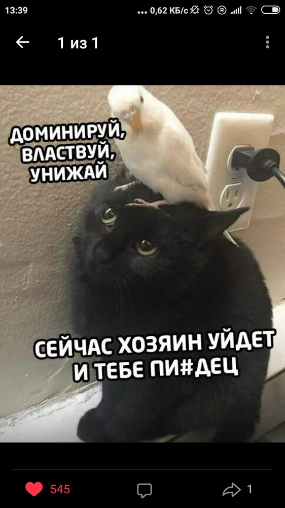 изображение поста