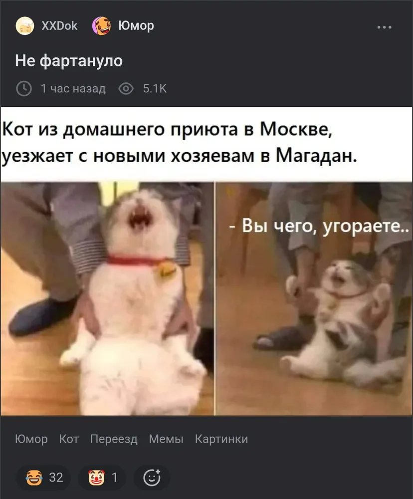изображение поста
