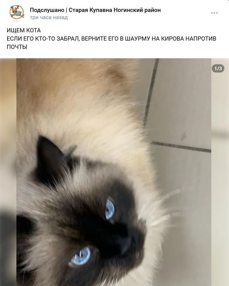 изображение поста