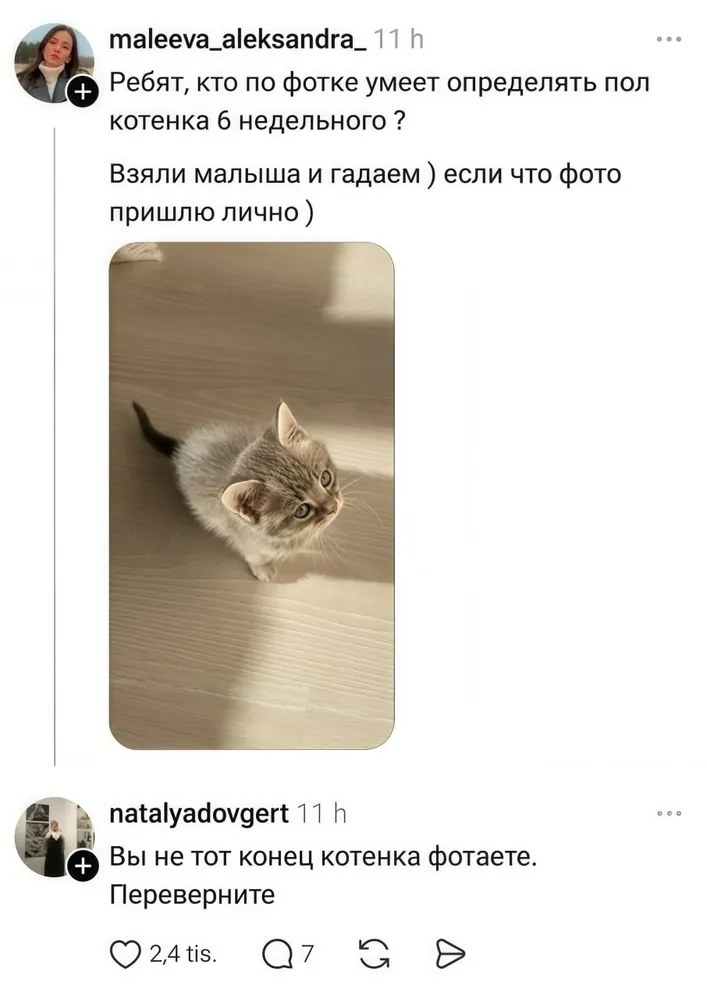 изображение поста