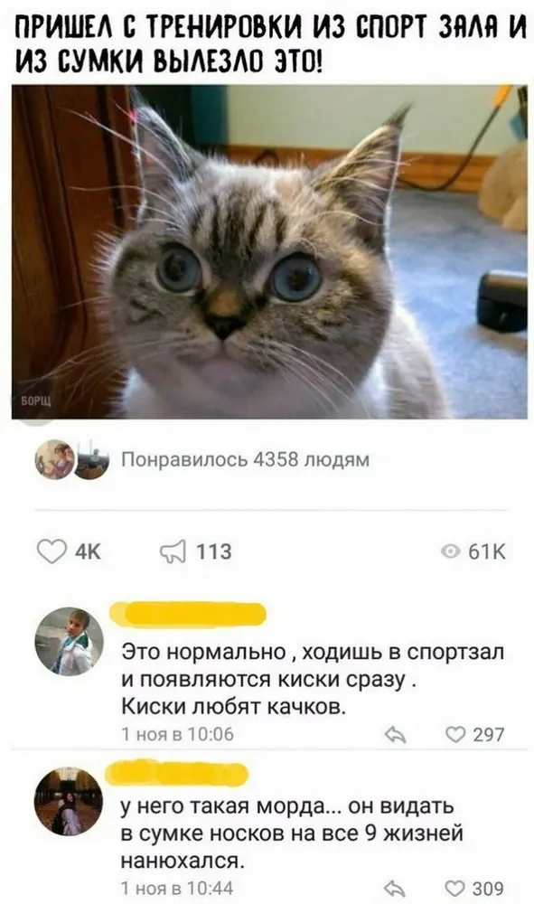 изображение поста
