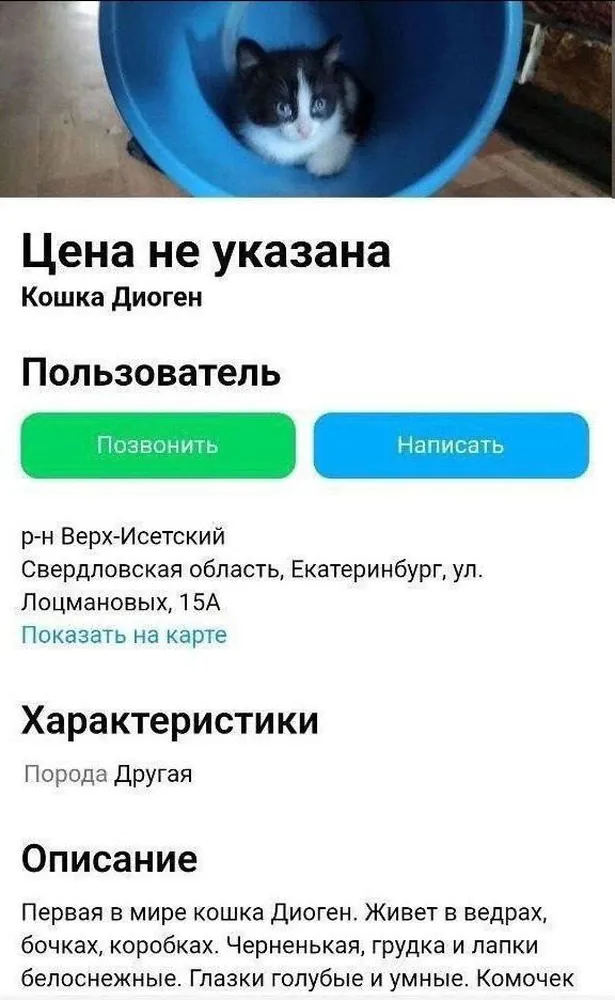изображение поста