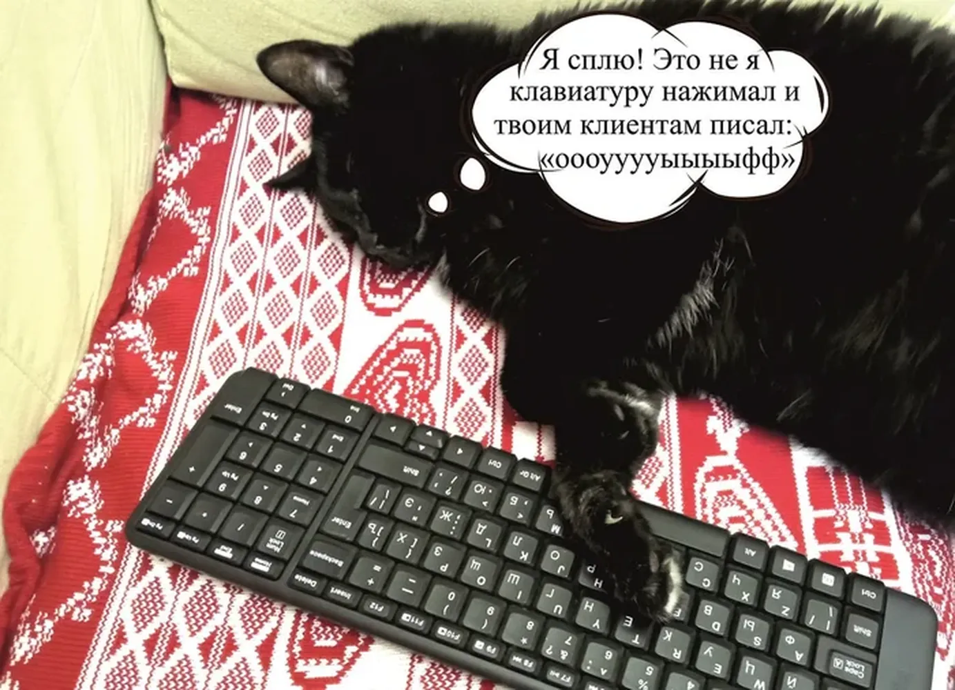 изображение поста