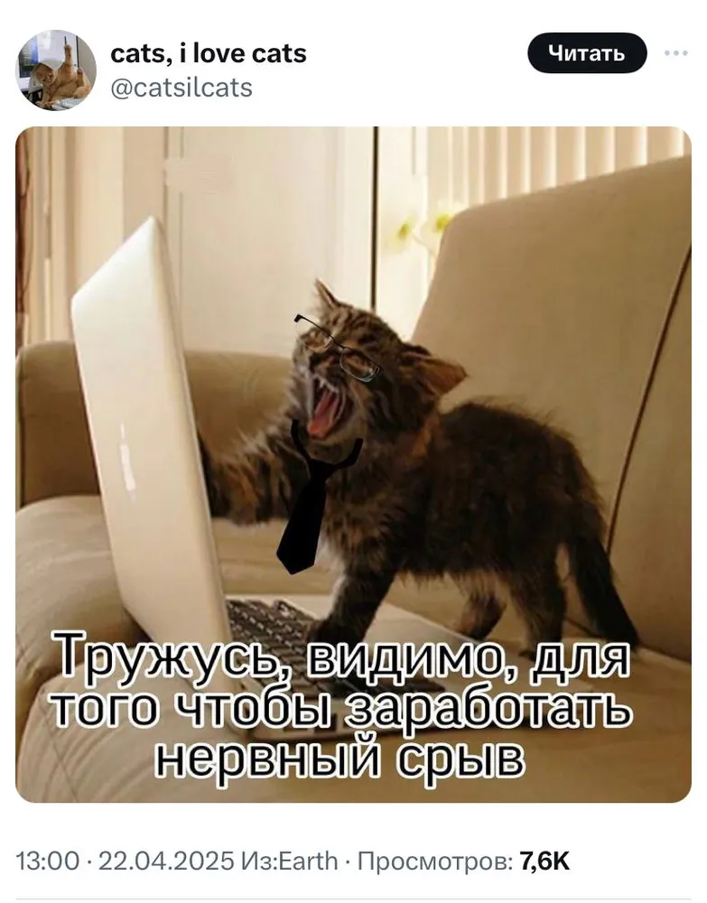 изображение поста