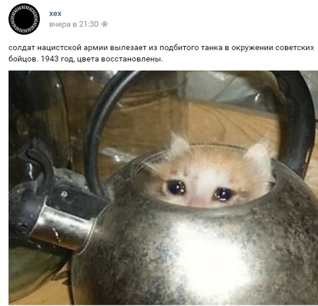 изображение поста