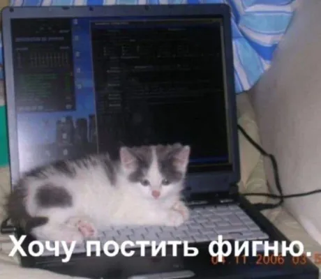 изображение поста