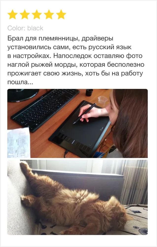 изображение поста