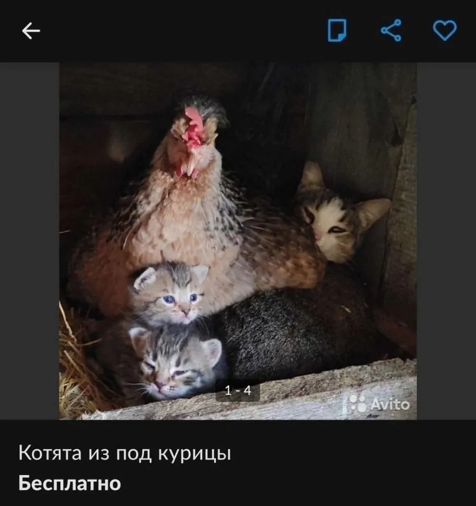 изображение поста